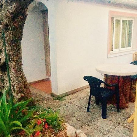 Olive Tree Apartments Rovinj Dış mekan fotoğraf