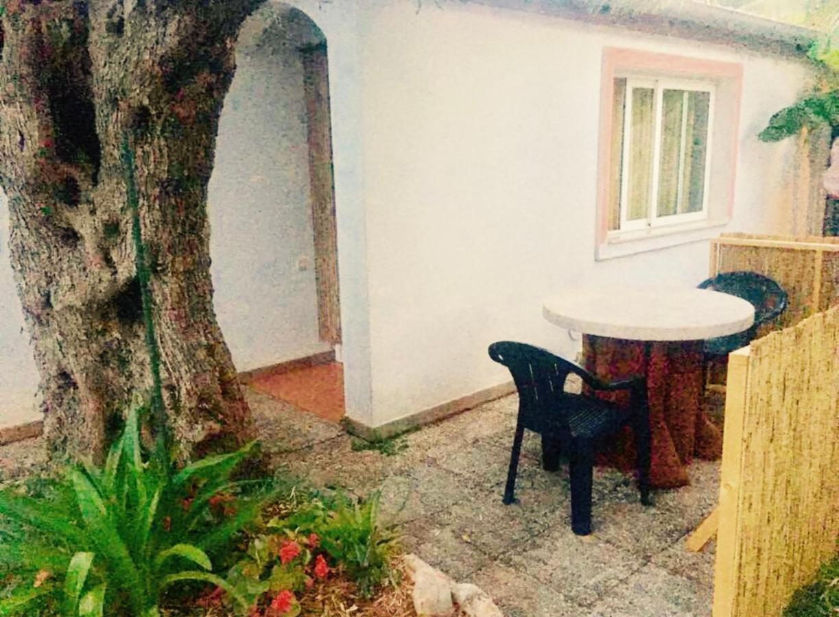 Olive Tree Apartments Rovinj Dış mekan fotoğraf